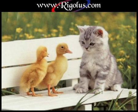 Adorables tous les 3 !